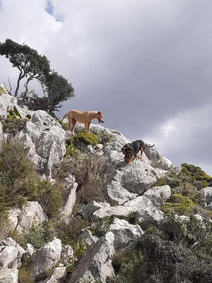 La Petite Planete Mykines Exterior foto