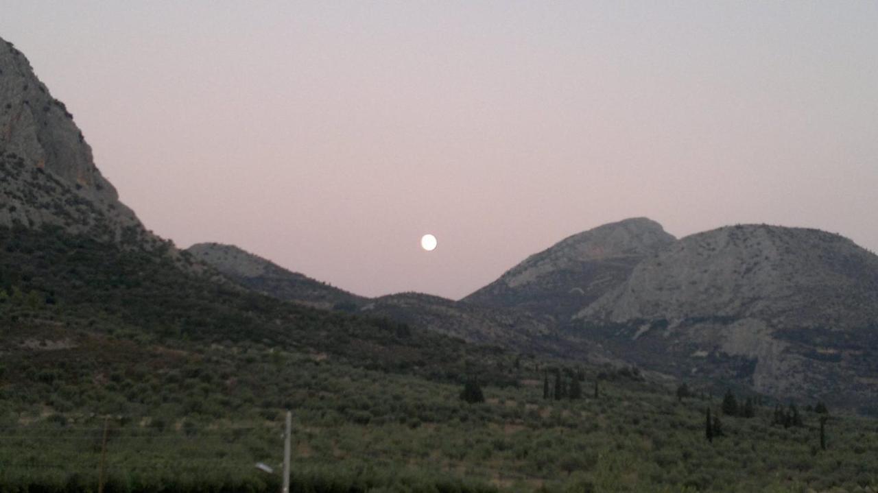 La Petite Planete Mykines Exterior foto